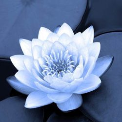 Marie Sandrine Esthétique